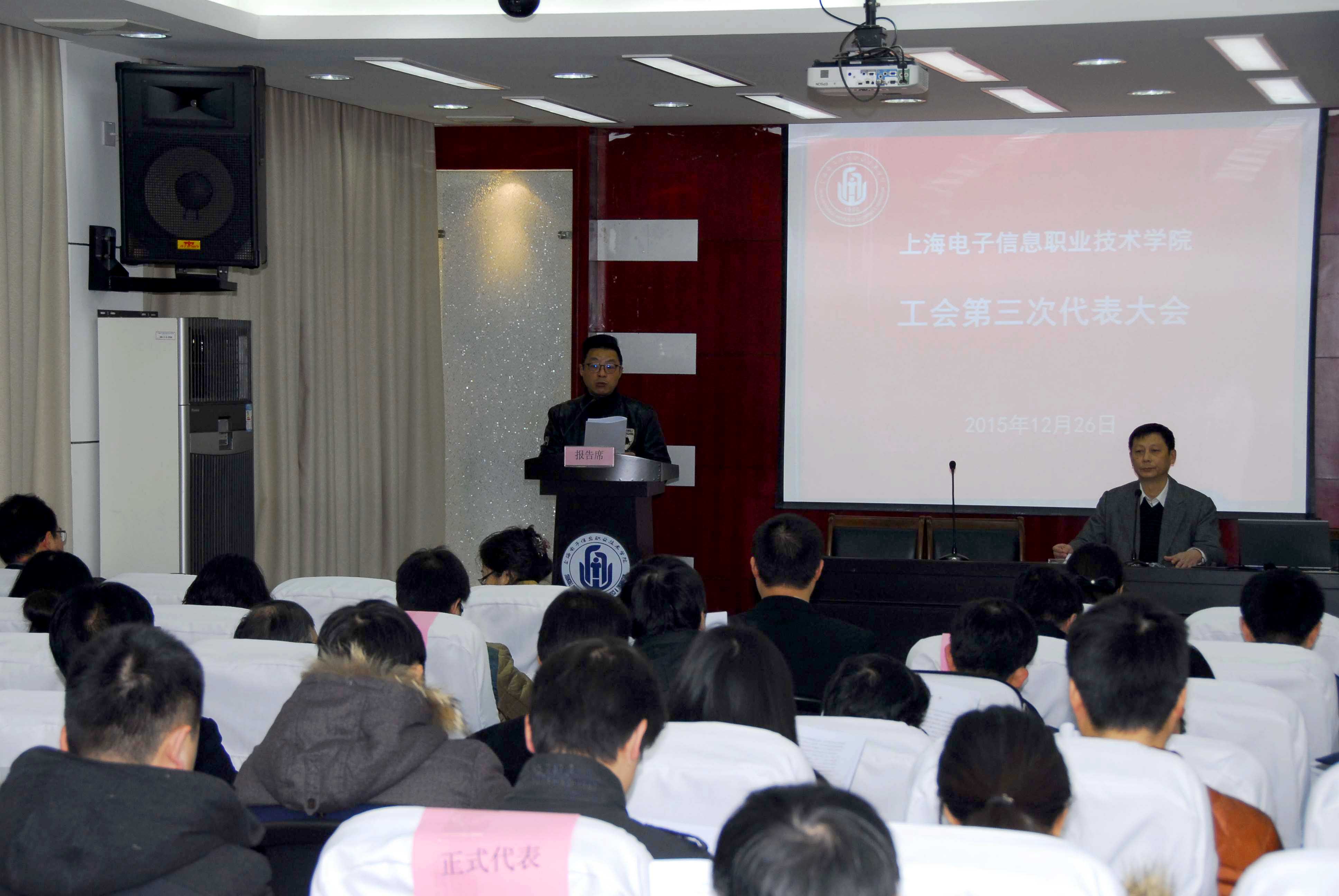 王晨海作代表资格审查报告